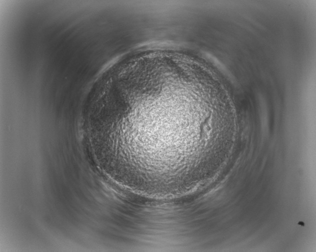 X0000068721213200605051424