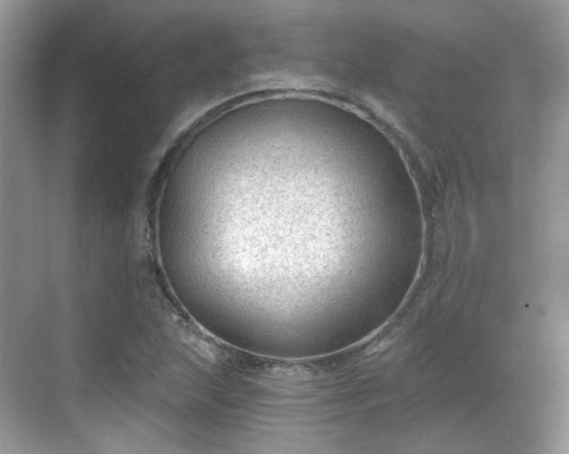 X0000068721215200605051424