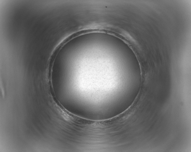 X0000068721216200605051424