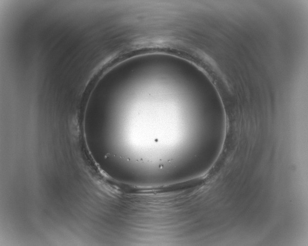 X0000068721218200605051424