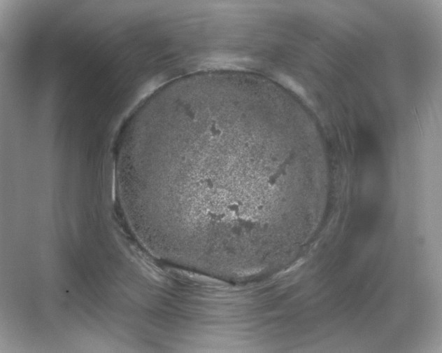 X0000068721219200605051424