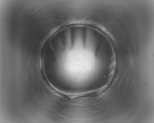 X0000068721221200605051424