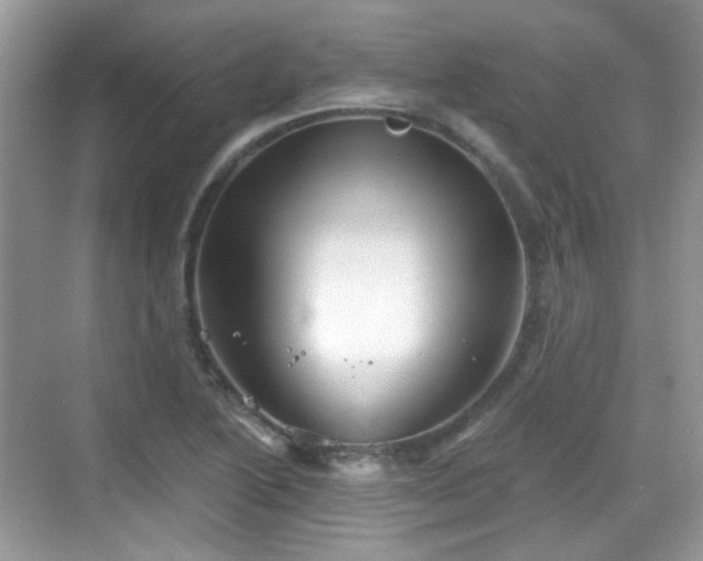 X0000068721222200605051424