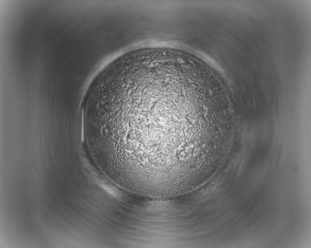 X0000068721223200605051424