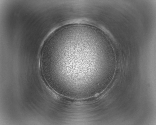 X0000068721224200605051424