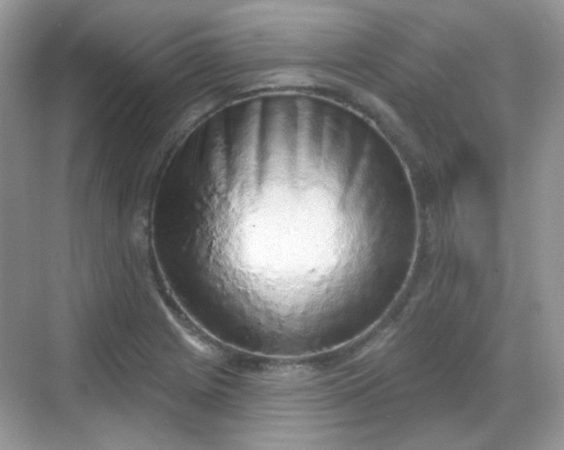 X0000068721225200605051424