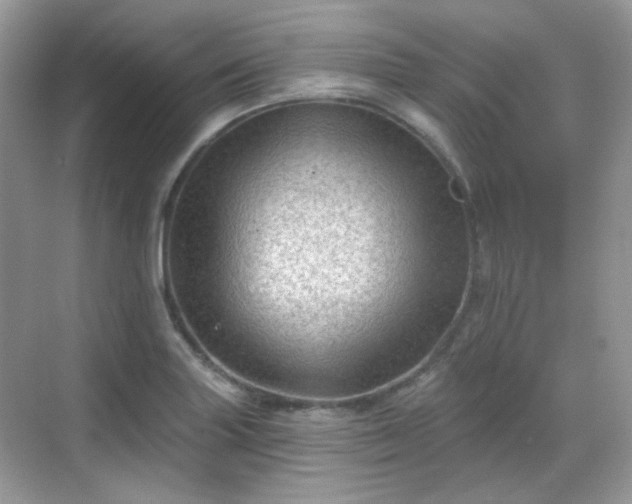 X0000068721227200605051424