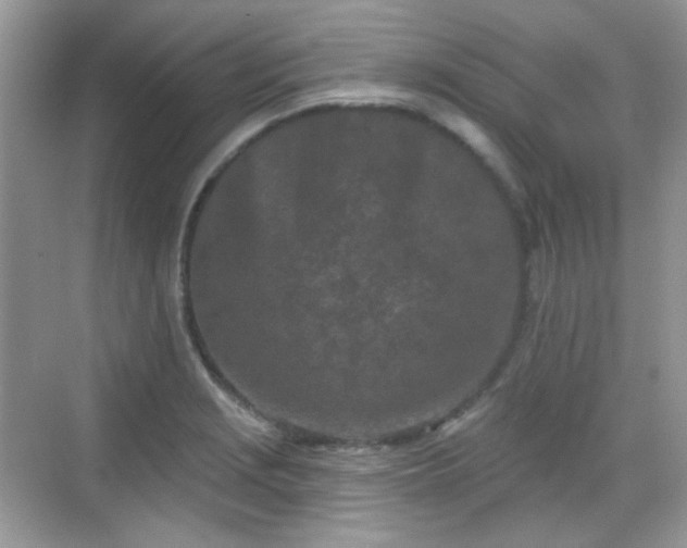 X0000068721229200605051424