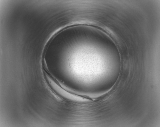 X0000068721230200605051424