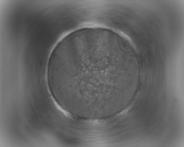 X0000068721231200605051424