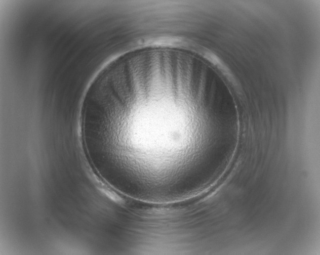 X0000068721232200605051424