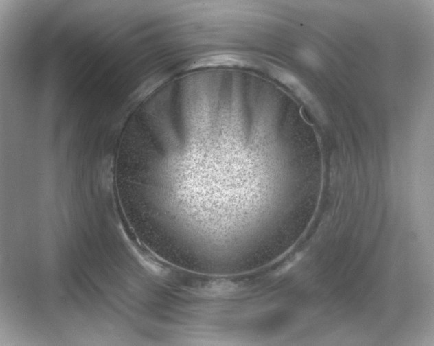 X0000068721233200605051424