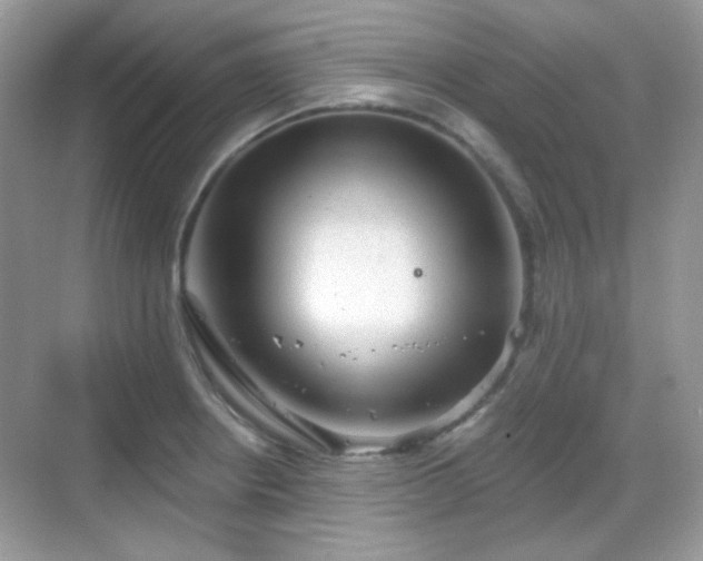 X0000068721234200605051425