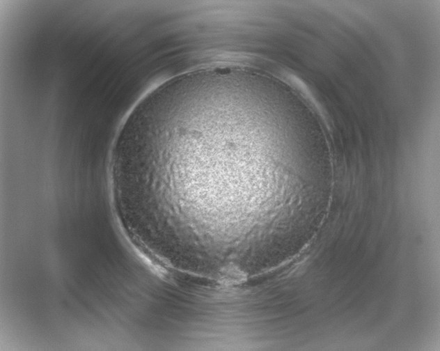 X0000068721235200605051425