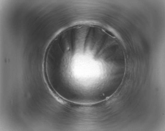 X0000068721237200605051425