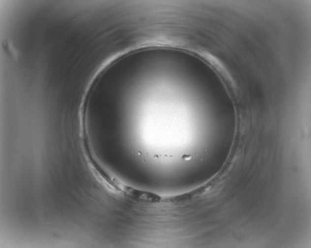 X0000068721238200605051425