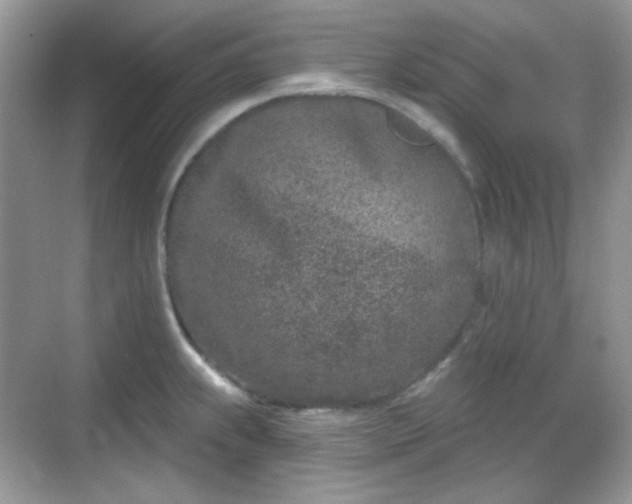 X0000068721239200605051425