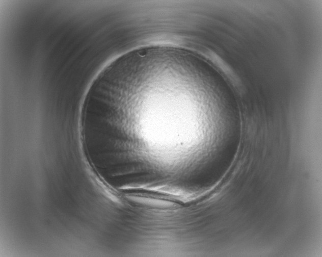 X0000068721240200605051425