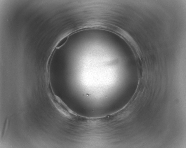 X0000068721242200605051425