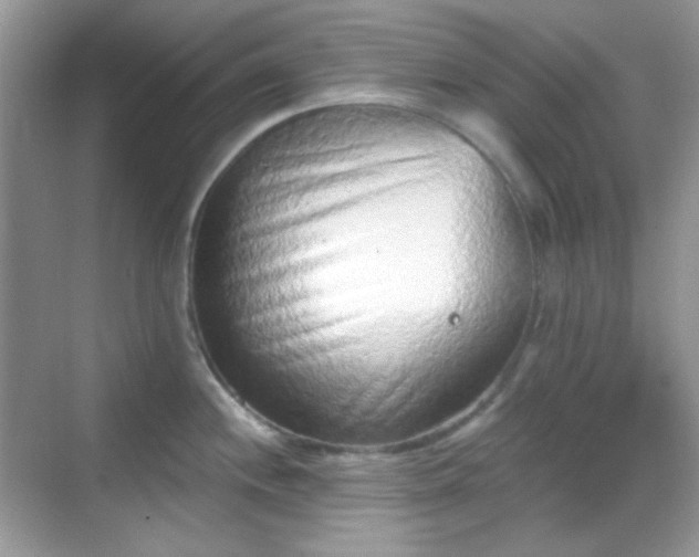 X0000068721244200605051425