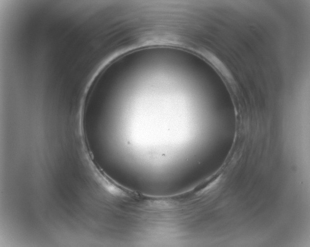 X0000068721246200605051425