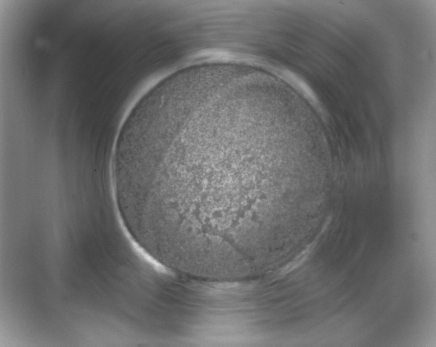 X0000068721247200605051425