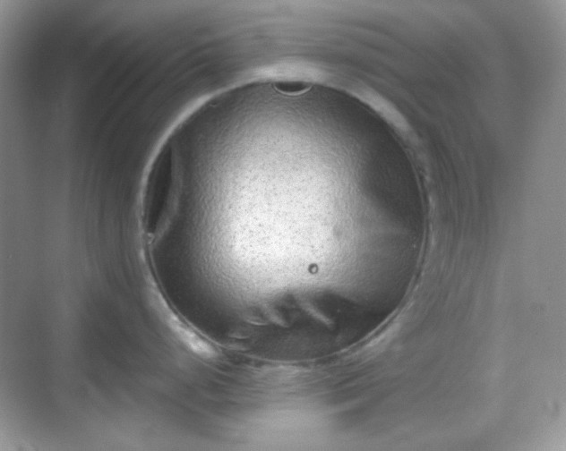 X0000068721248200605051425