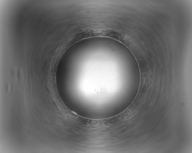 X0000068721249200605051424