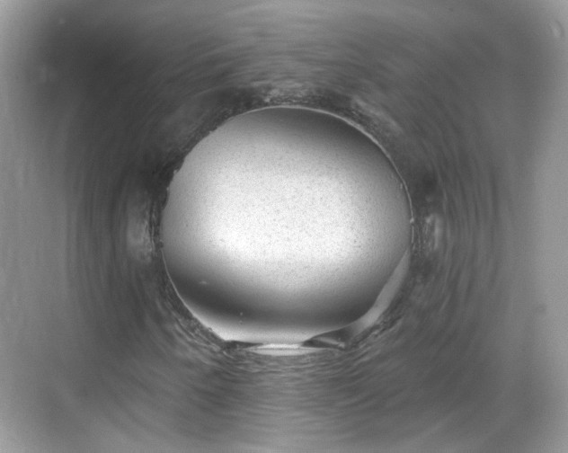 X0000068721250200605051424