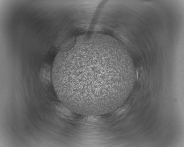 X0000068721251200605051424