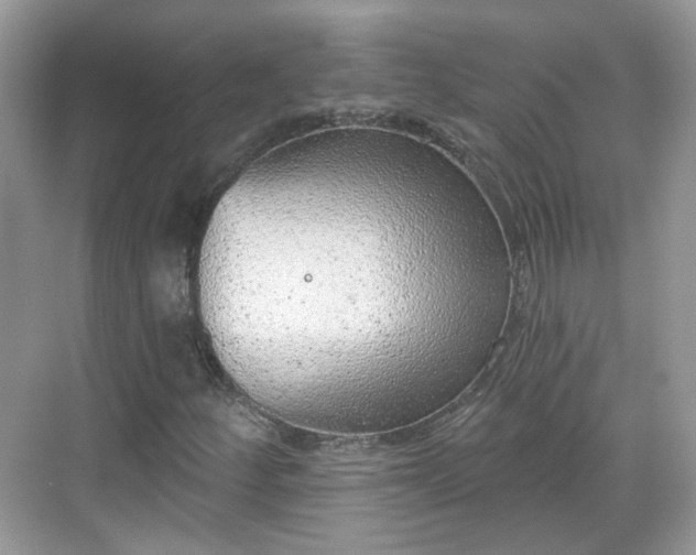 X0000068721252200605051424