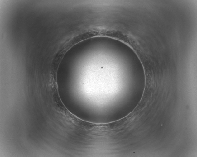 X0000068721253200605051424