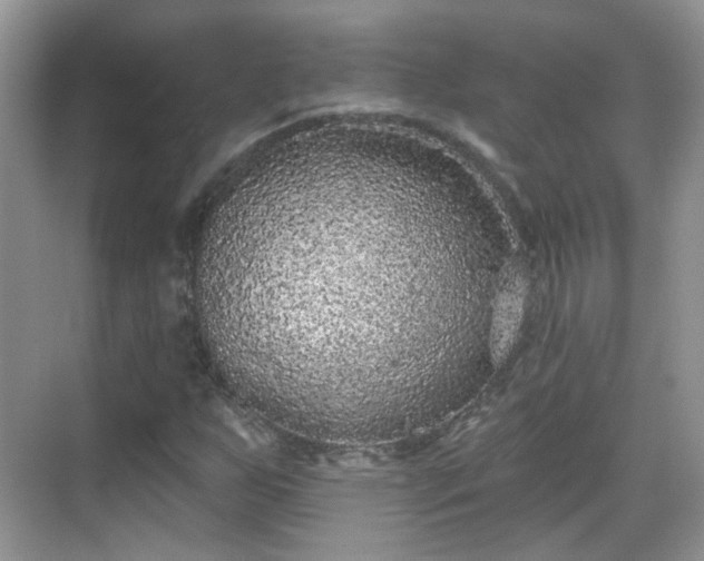 X0000068721255200605051424