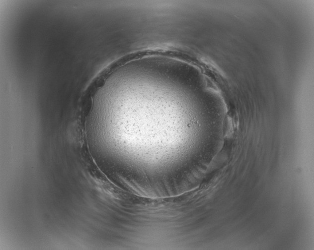 X0000068721256200605051424