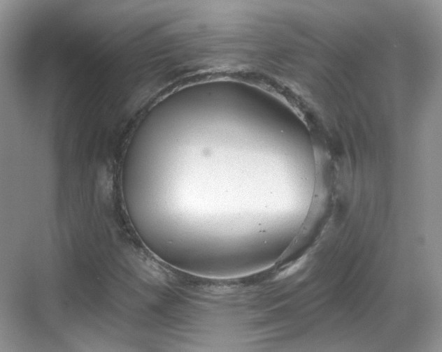 X0000068721257200605051424