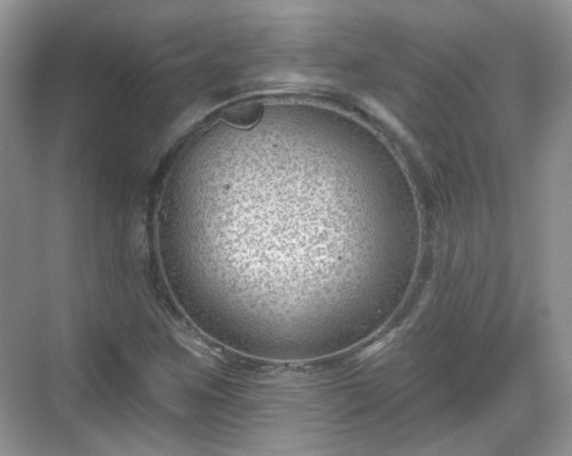 X0000068721259200605051424