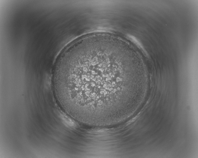 X0000068721260200605051424