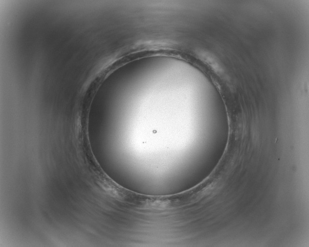 X0000068721261200605051424