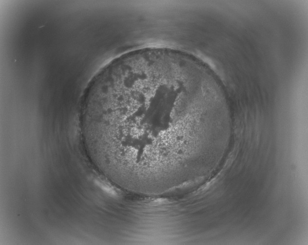 X0000068721263200605051424