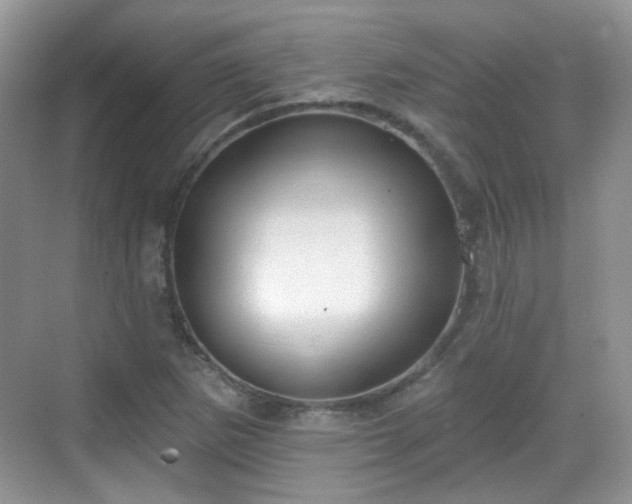 X0000068721265200605051424