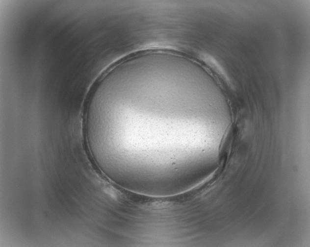 X0000068721268200605051424