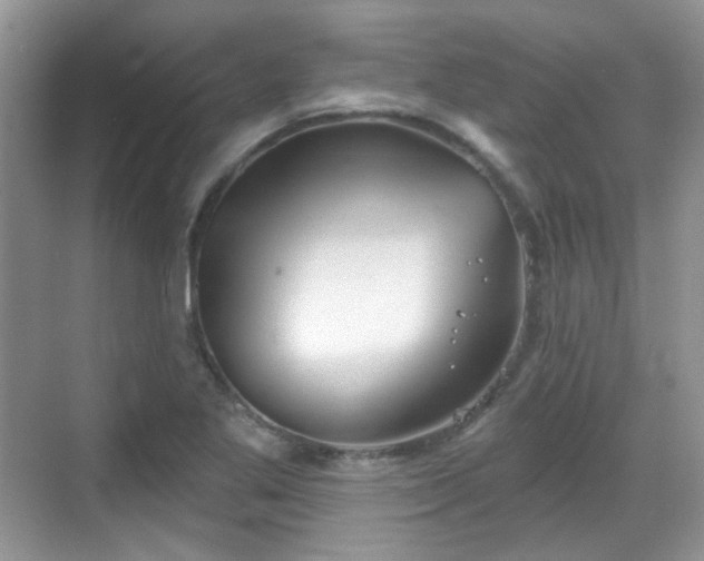 X0000068721269200605051424