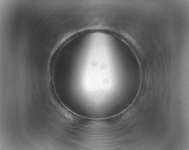 X0000068721270200605051424