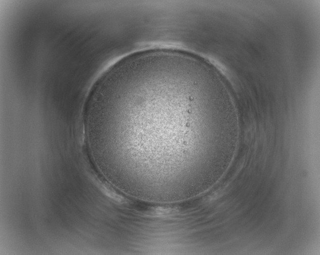 X0000068721271200605051424