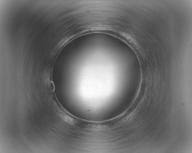 X0000068721273200605051424