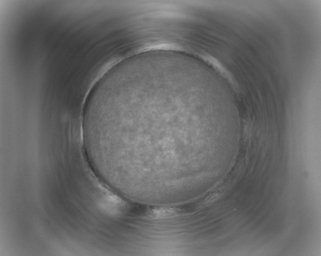 X0000068721274200605051424