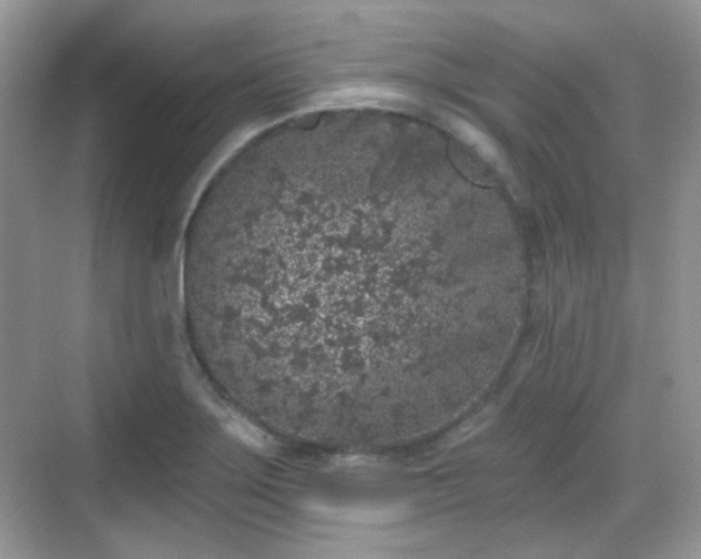 X0000068721275200605051424