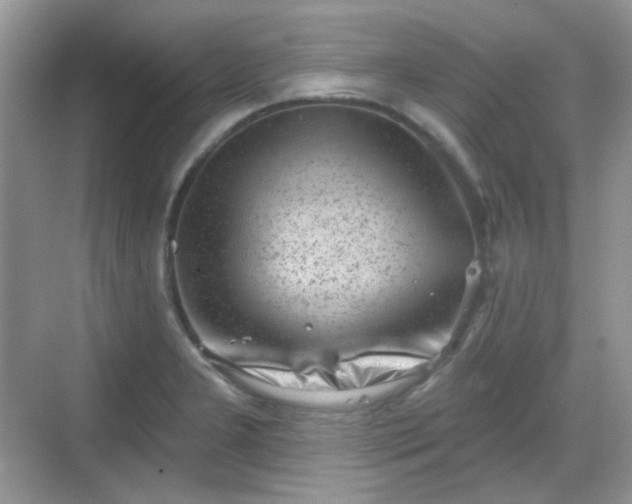 X0000068721277200605051423