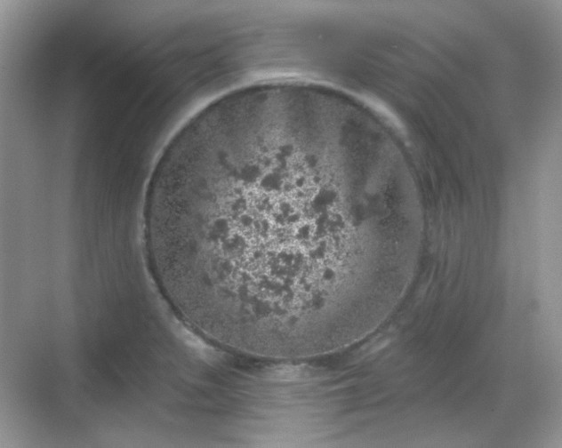 X0000068721279200605051423