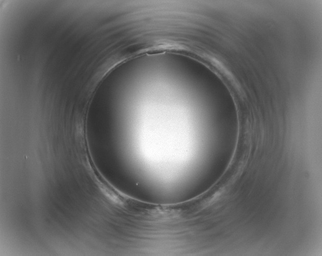 X0000068721281200605051423